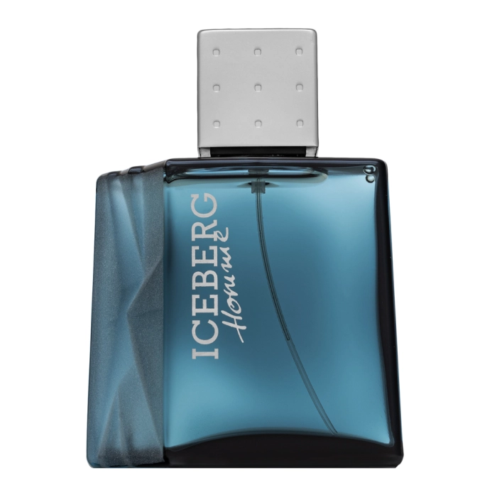 Iceberg Iceberg Homme тоалетна вода за мъже 100 ml