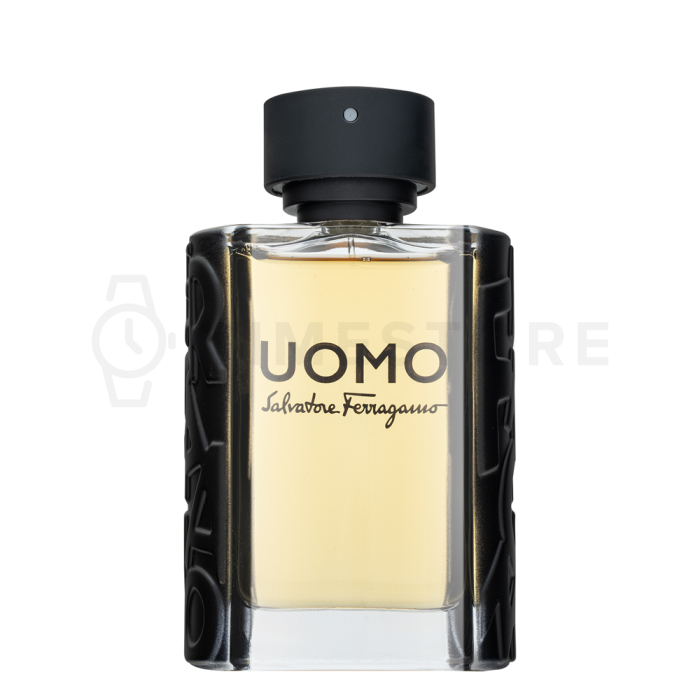 Salvatore Ferragamo Uomo Eau de Toilette bărbați 100 ml