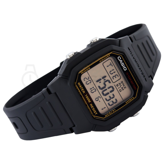 Casio Collection