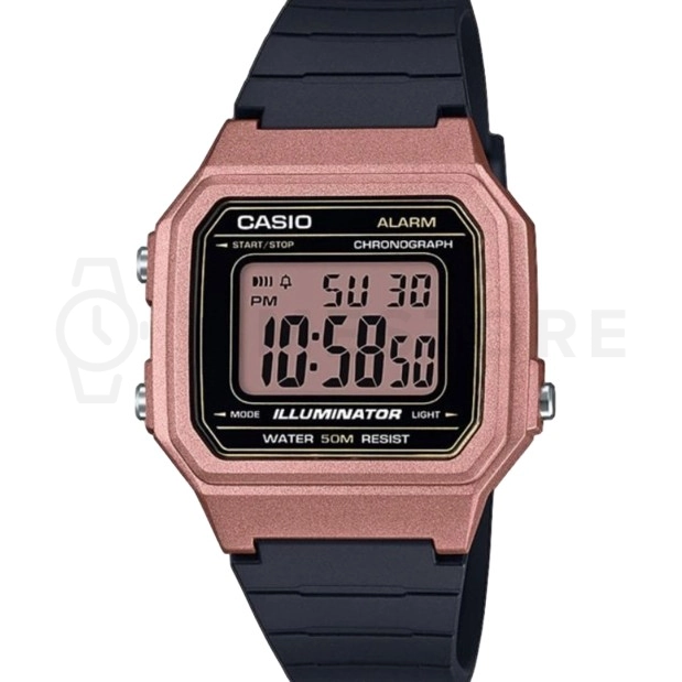 Casio Collection