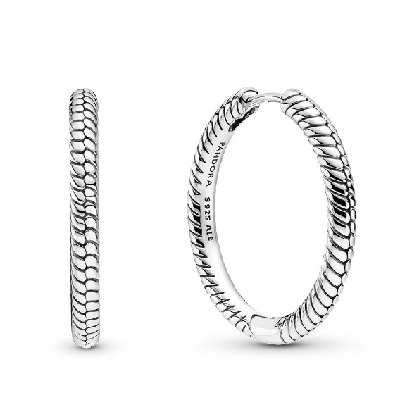 Pendientes Pandora Moments