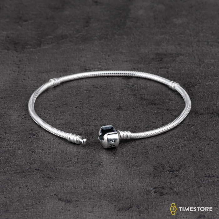 Zapestnica Pandora Moments