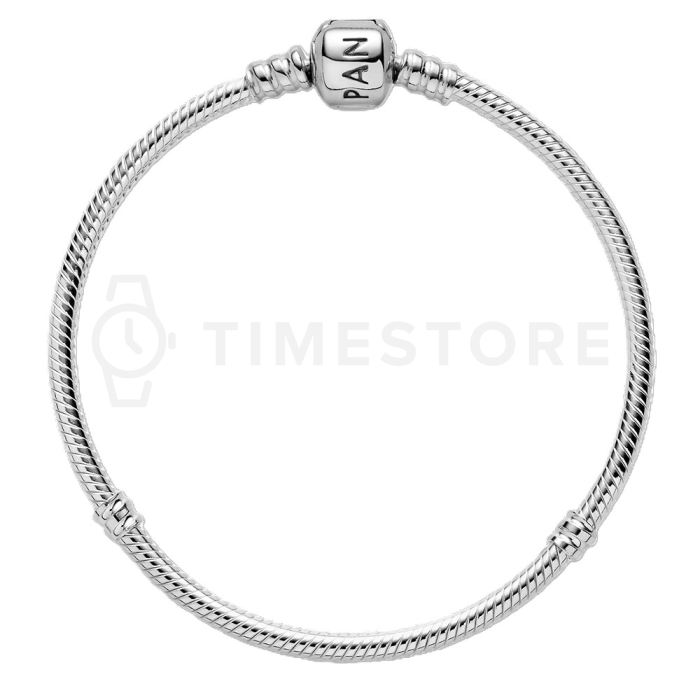 Zapestnica Pandora Moments