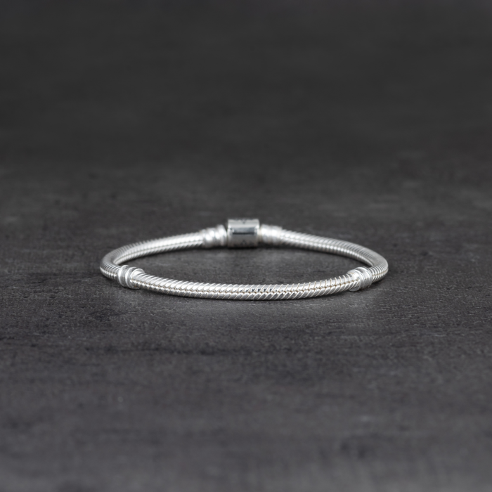 Zapestnica Pandora Moments