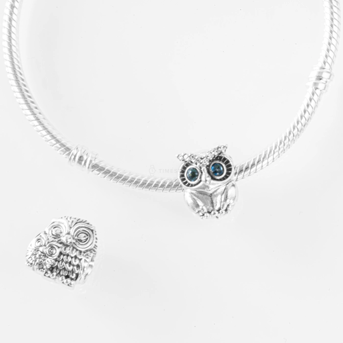 Charm Pandora Moments