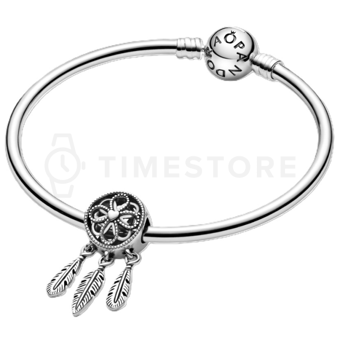 Charm Pandora Moments