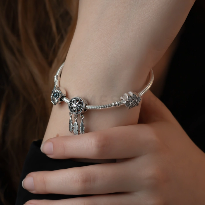 Charm Pandora Moments