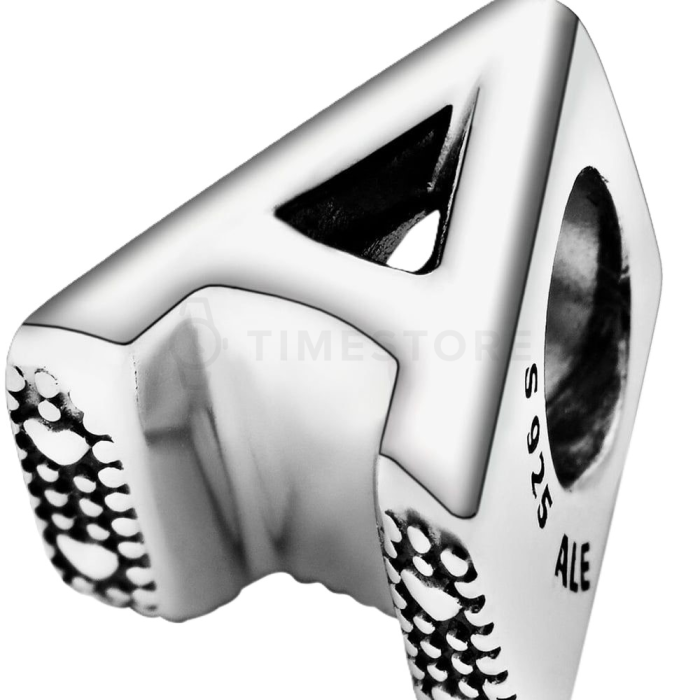 Charm Pandora Moments