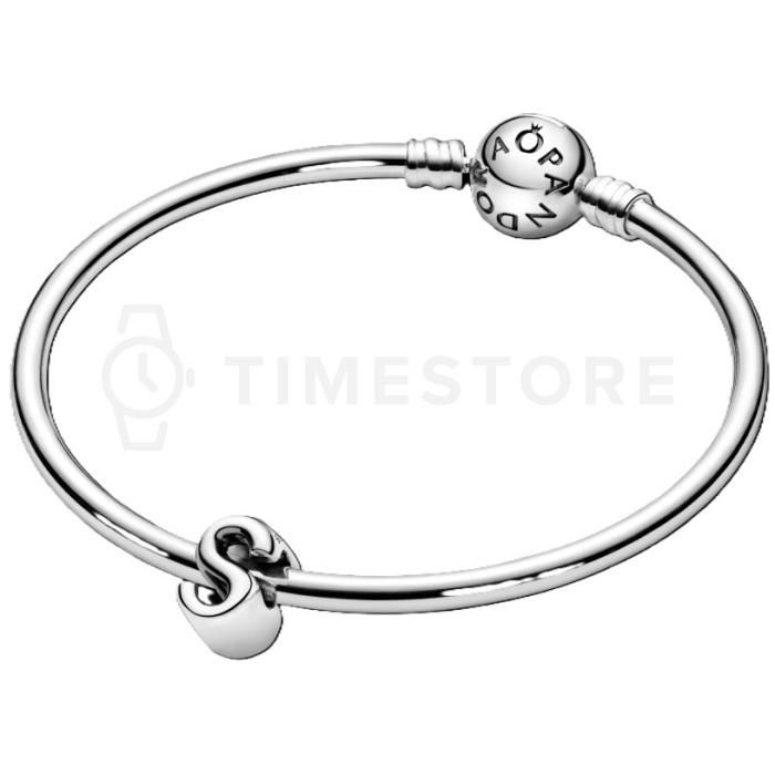 Charm Pandora Moments