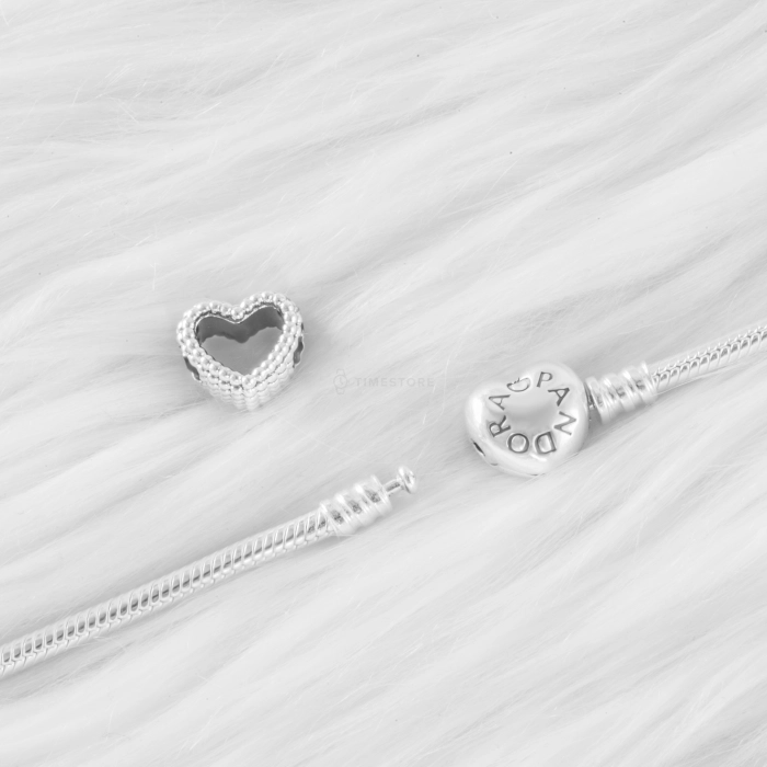 Charms Pandora Moments