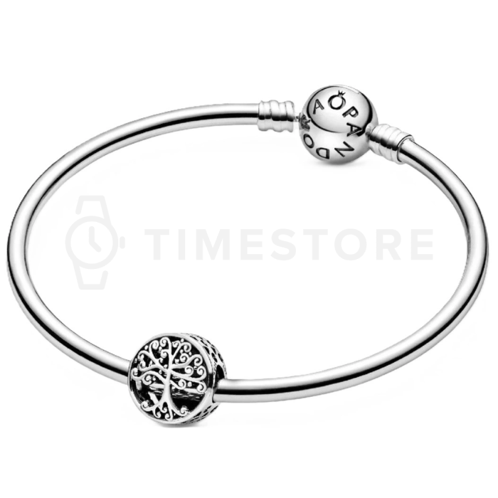 Charm Pandora Moments