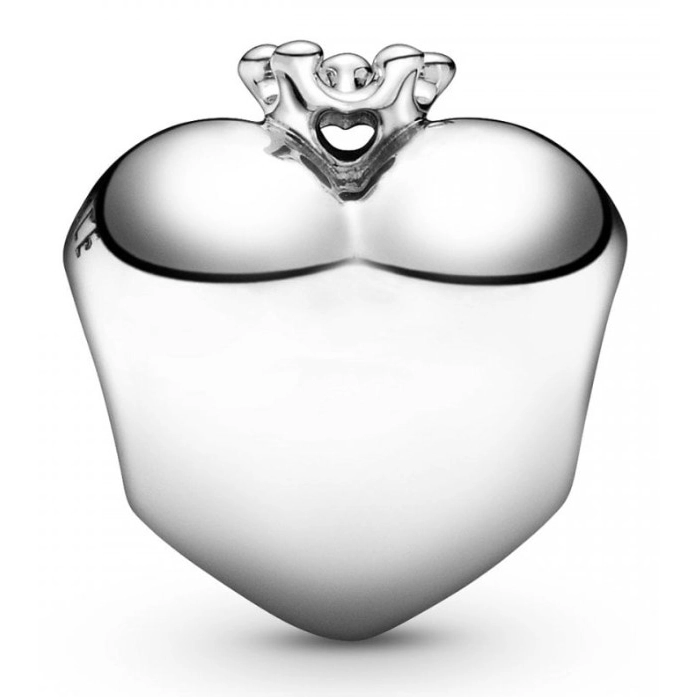 Charm Pandora Moments