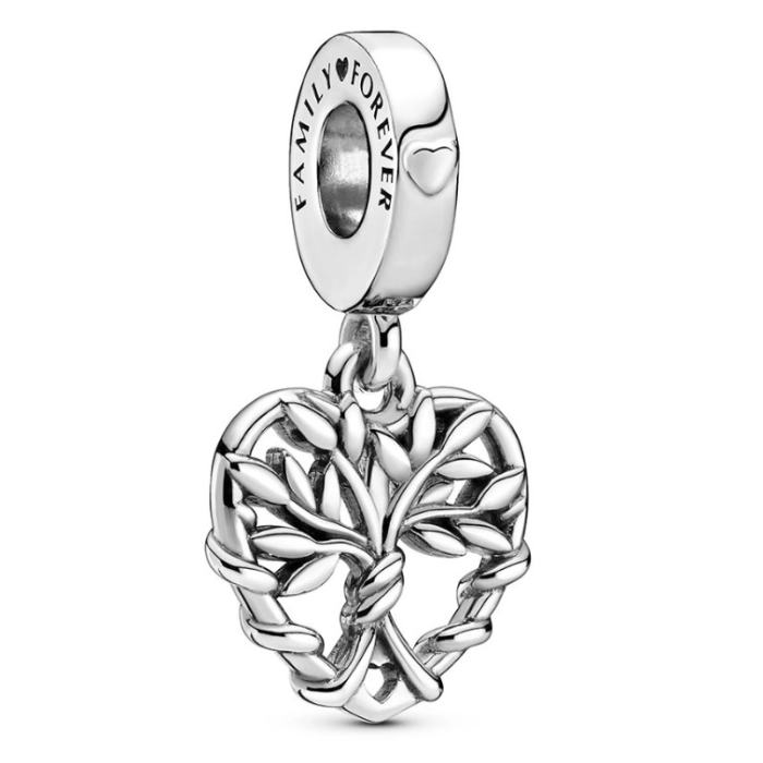 Charm Pandora Moments