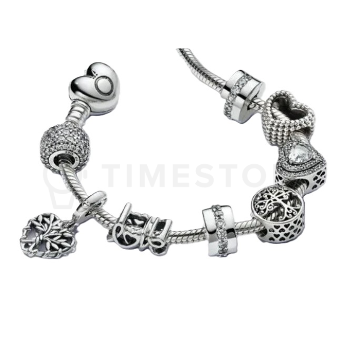 Charm Pandora Moments