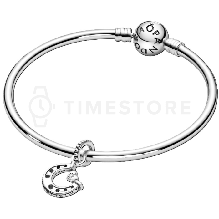 Pandantiv Pandora Moments