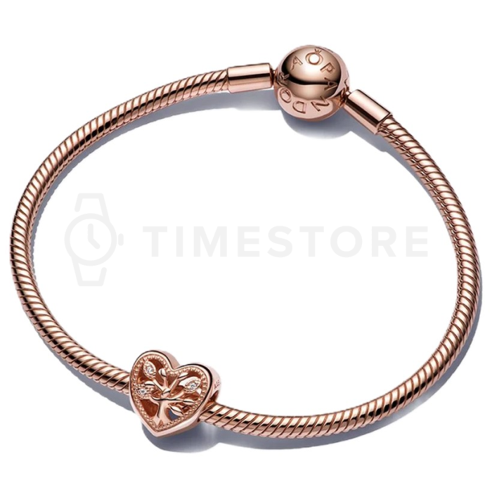 Charm Pandora Moments