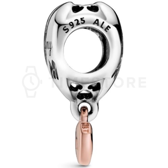 Charm Pandora Moments