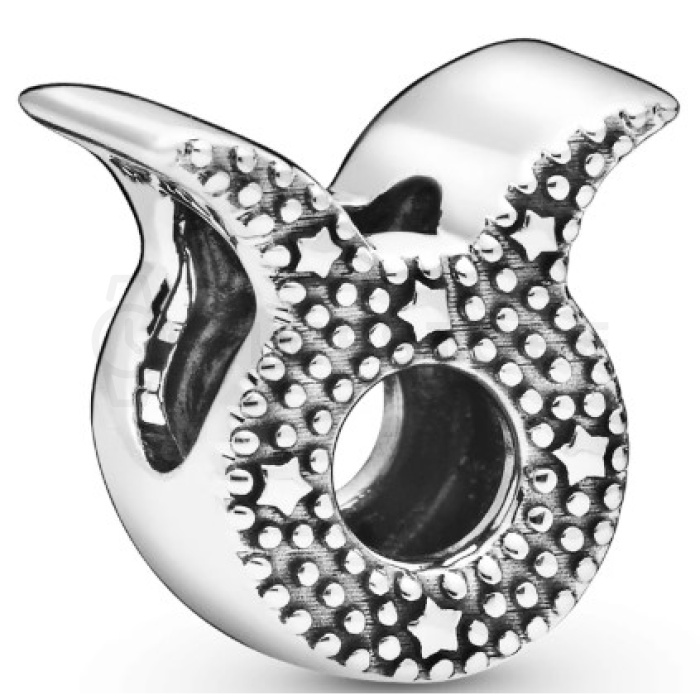 Charm Pandora Moments