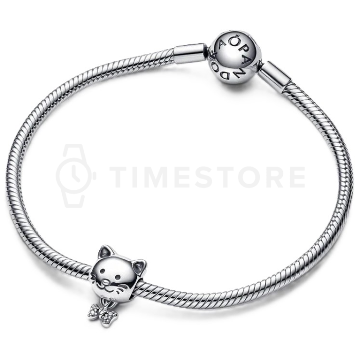 Charm Pandora Moments