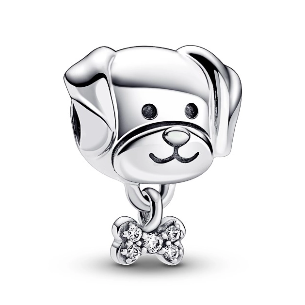 Charm Pandora Moments