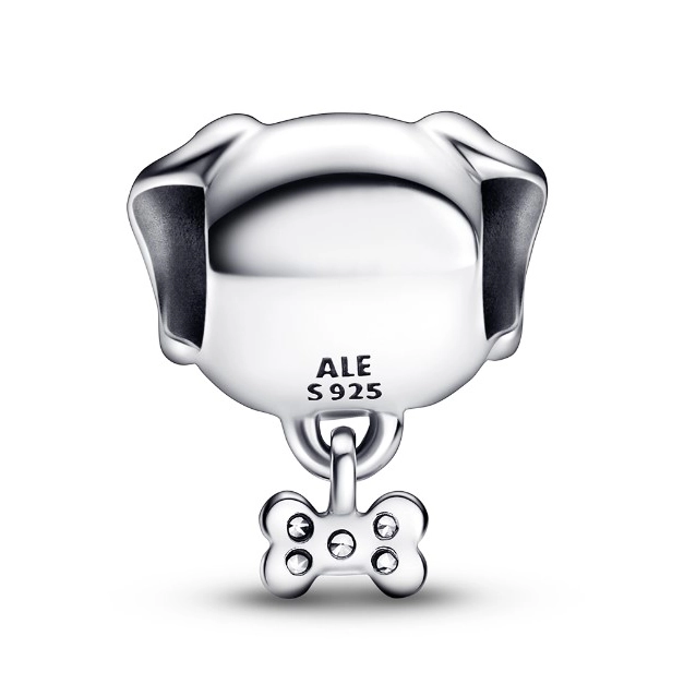 Charm Pandora Moments