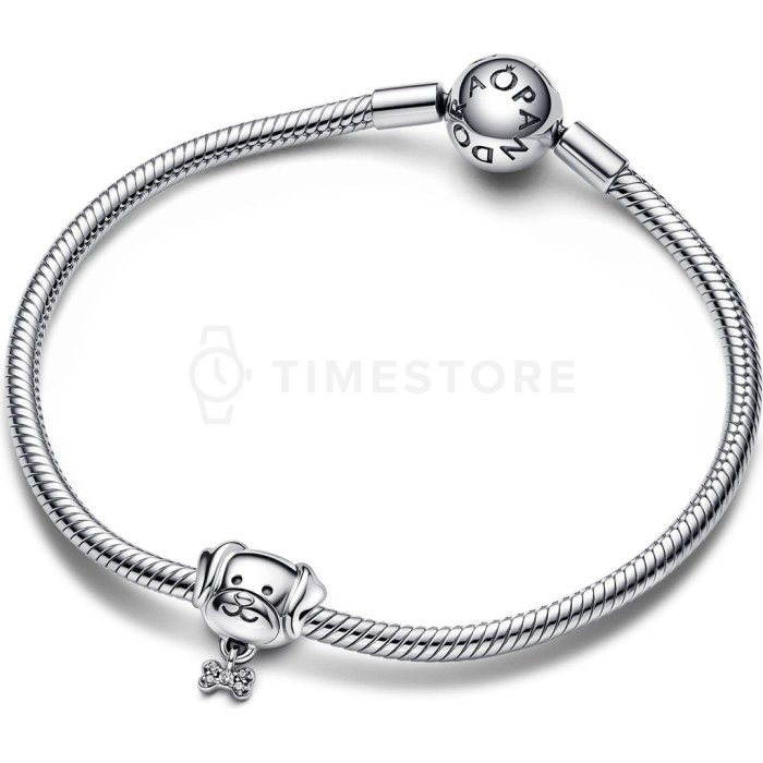 Charm Pandora Moments