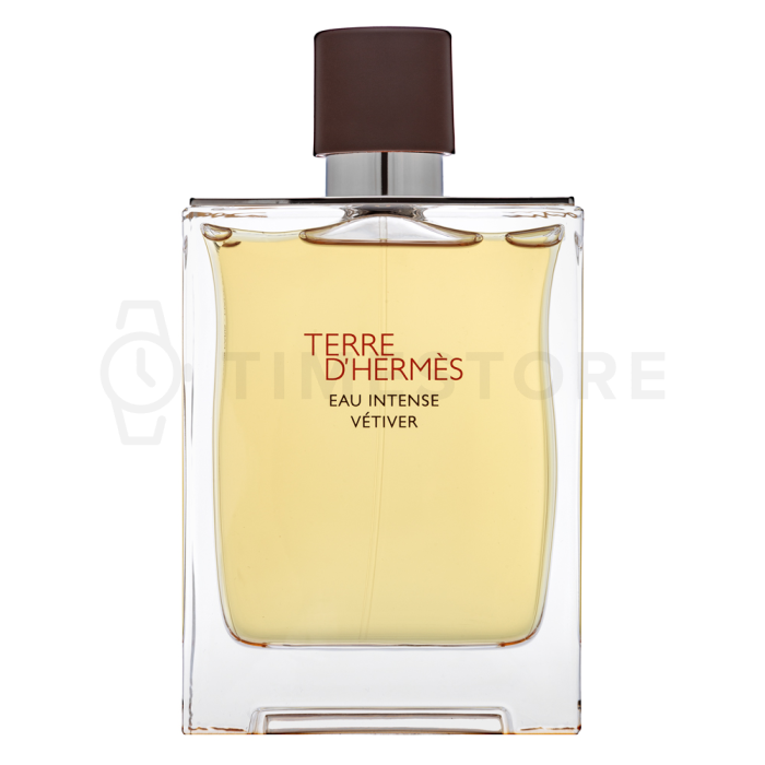 Hermès Terre D'Hermes Eau Intense Vetiver parfémovaná voda pre mužov 200 ml
