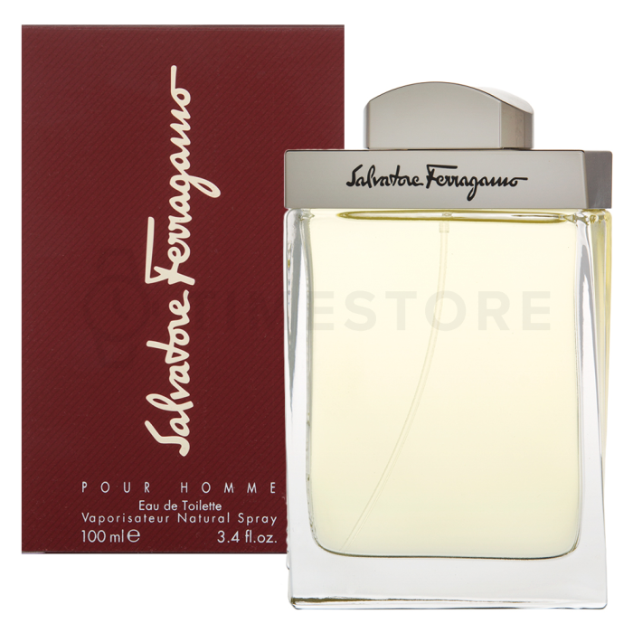 Salvatore Ferragamo Pour Homme woda toaletowa dla mężczyzn 100 ml