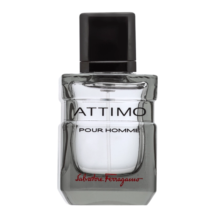 Salvatore Ferragamo Attimo Pour Homme toaletná voda pre mužov 40 ml