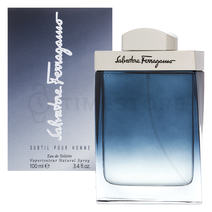 Salvatore Ferragamo Subtil Pour Homme toaletní voda pro muže 100 ml