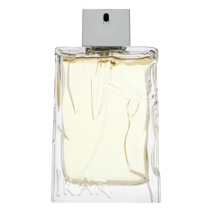 Sisley Eau D´Ikar toaletná voda pre mužov 100 ml