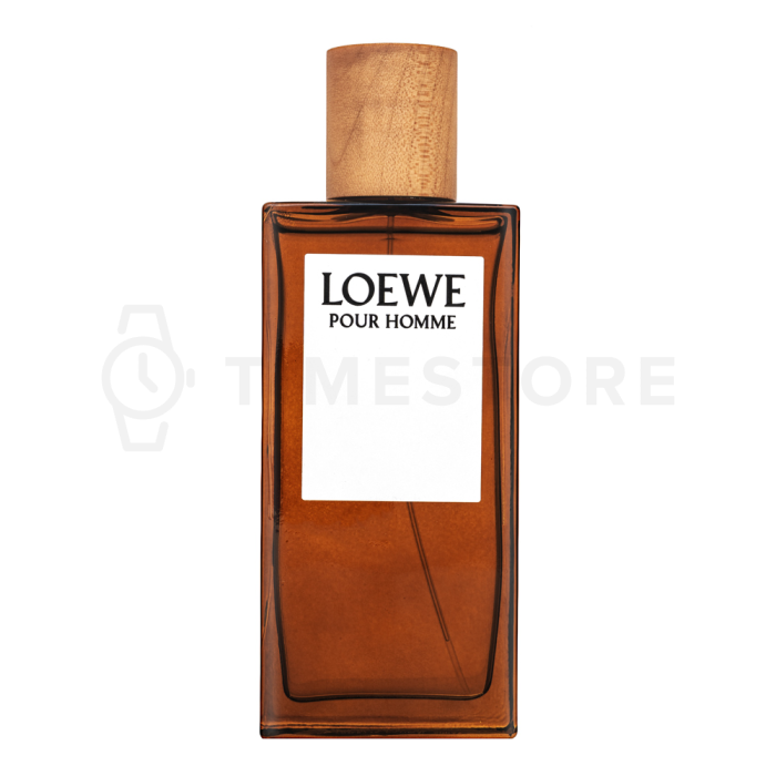 Loewe Pour Homme Eau de Toilette da uomo 100 ml