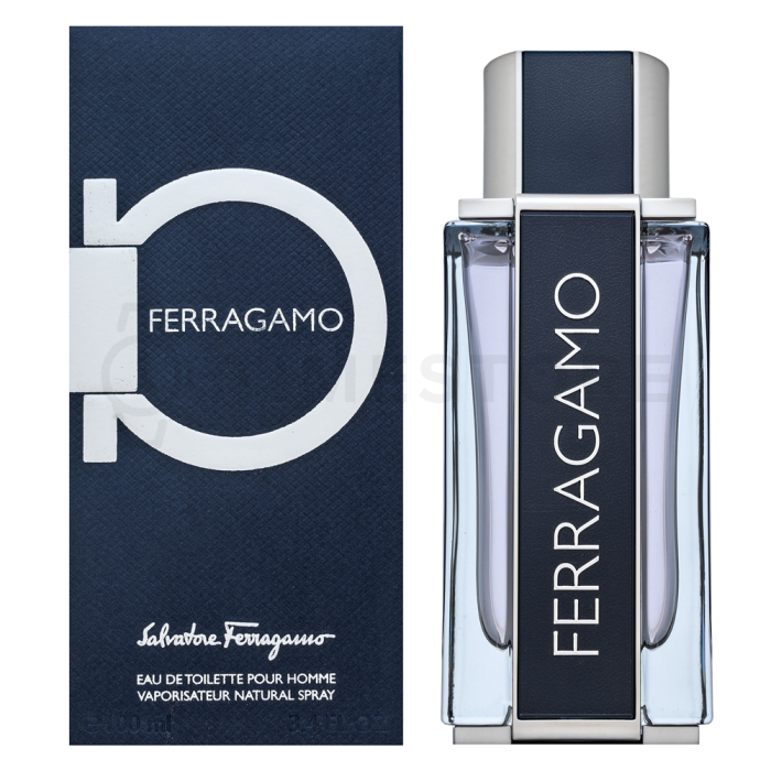 Salvatore Ferragamo Ferragamo toaletná voda pre mužov 100 ml