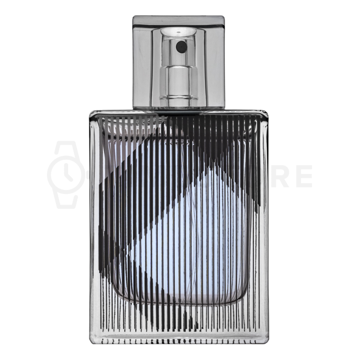 Burberry Brit Men toaletní voda pro muže 30 ml