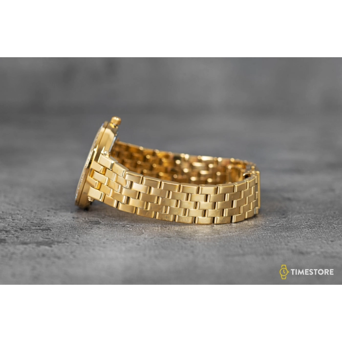 Michael Kors Mini Darci