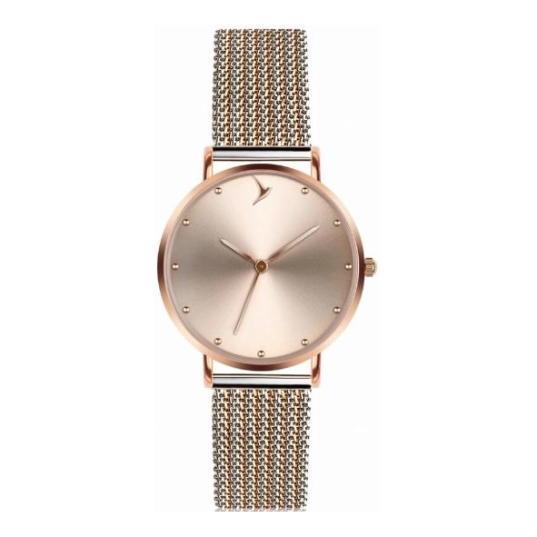 Emily Westwood Santa Marta