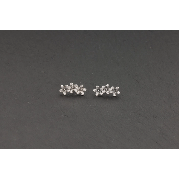 Orecchini Pandora Moments