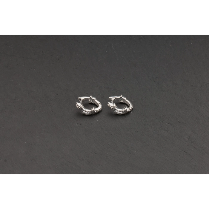 Orecchini Pandora Moments