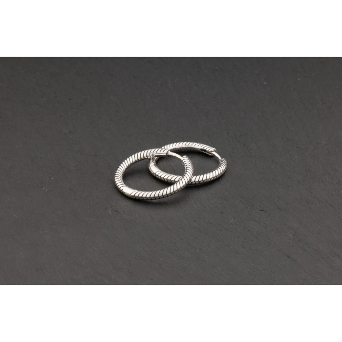 Pendientes Pandora Moments