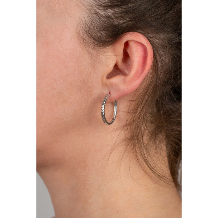 Pendientes Pandora Moments