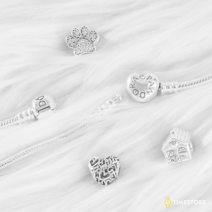 Charm Pandora Moments