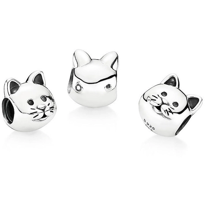 Charm Pandora Moments