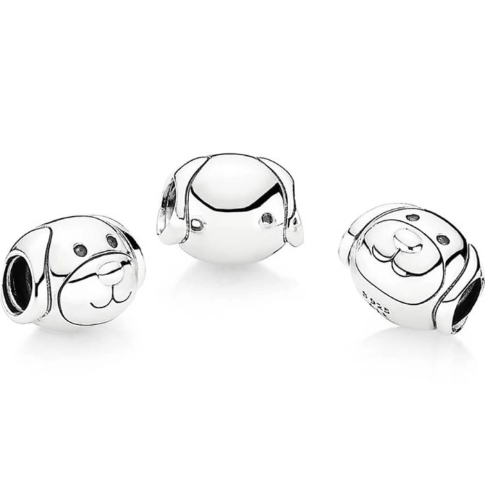 Charm Pandora Moments