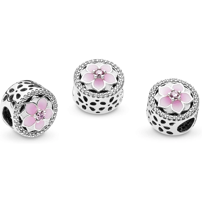 Charm Pandora Moments