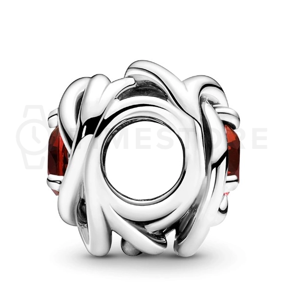 Charm Pandora Moments