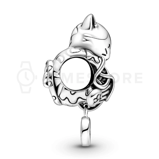 Charm Pandora Moments