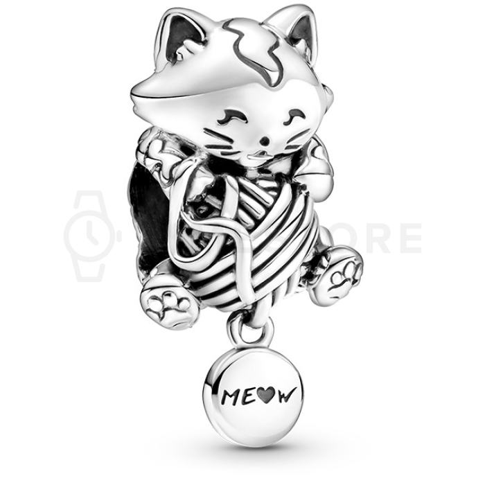 Charm Pandora Moments