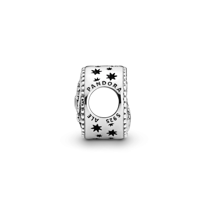 Charm Pandora Harry Potter