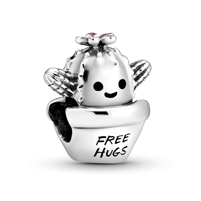 Charm Pandora Moments