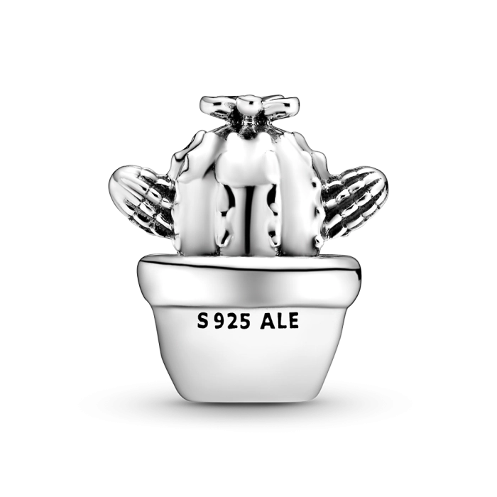 Charm Pandora Moments